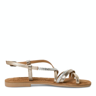 116 CHAMPAGNE COMB;3