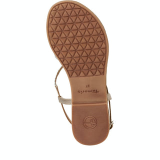 116 CHAMPAGNE COMB;4