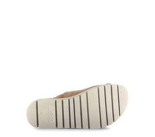 walnut;5