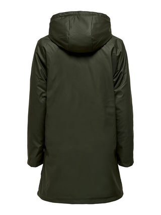 216610002 Rosin/BLACK TEDDY;8