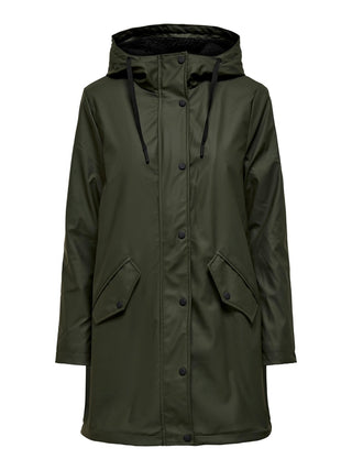 216610002 Rosin/BLACK TEDDY;4