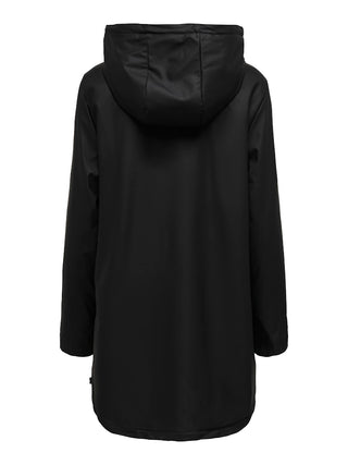177911002 Black/BLACK TEDDY;24