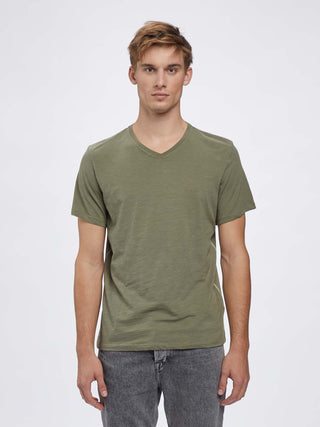 7001 Deep Lichen;9