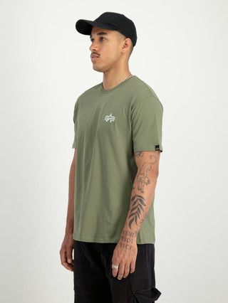 01 sage green;4