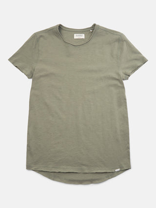 Agave Green;64