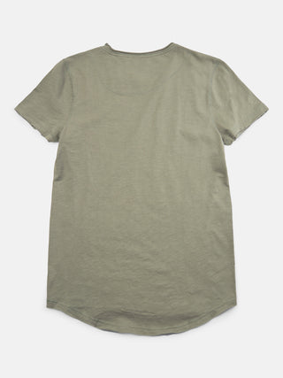 Agave Green;65