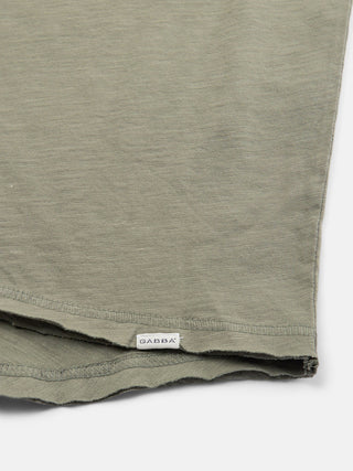 Agave Green;66