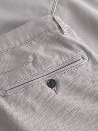 GREY PALOMA;4