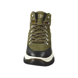 G719 olive;2