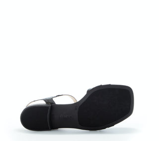 schwarz (LDS/gold);5