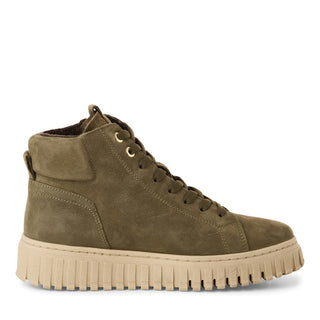 722 OLIVE;3