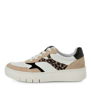 329 LEOPARD COMB;2