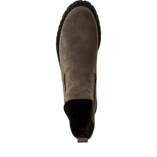 341 TAUPE;10