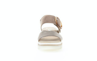 puder/rabbit;6