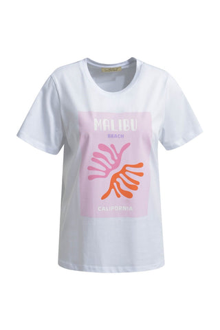 1427 SOFT PINK PRINT;1