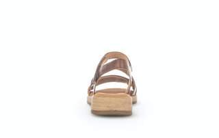 peanut (S.Holz);3