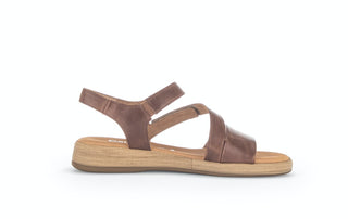 peanut (S.Holz);4