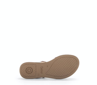 peanut (S.Holz);5