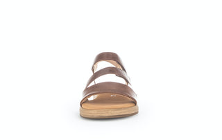 peanut (S.Holz);6