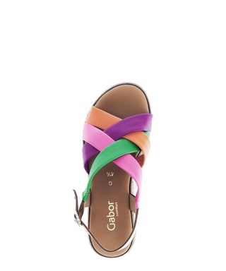 carot/pink/gre/cam;2