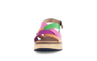 carot/pink/gre/cam;6