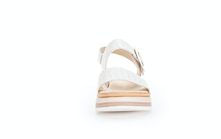 weiss (LDS);6