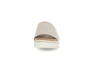 muschel;6