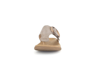 rabbit;6