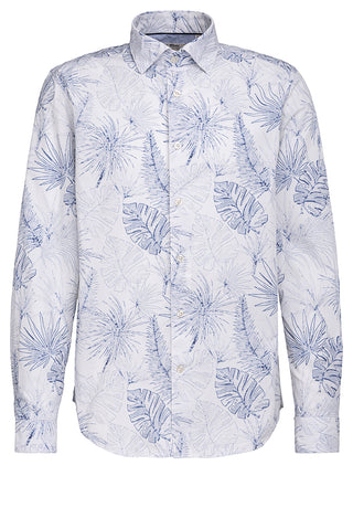 62 lightblue;3