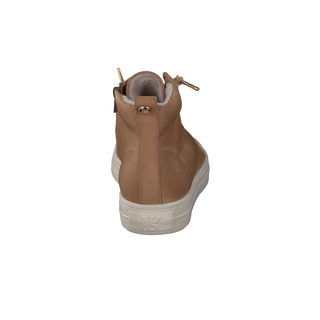 BISCUIT;4