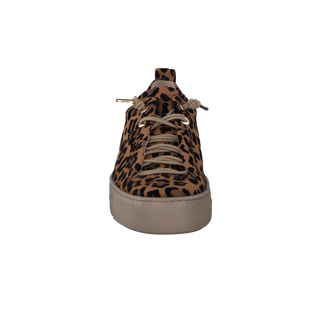 LEO VELVET SISAL;3