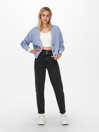 213991 Blue Heron;16