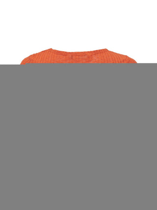 255836 Harvest Pumpkin;2