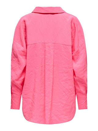 221035 Pink Carnation;15