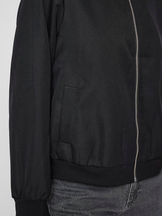 295042 Black Beauty;8