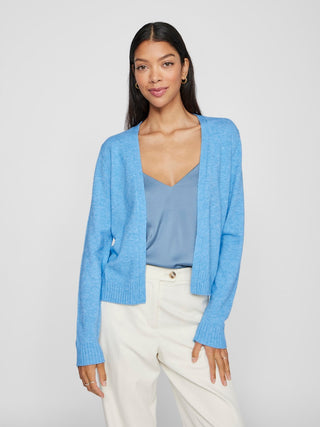 299660004 Blissful Blue/LIGHT MELAN;66