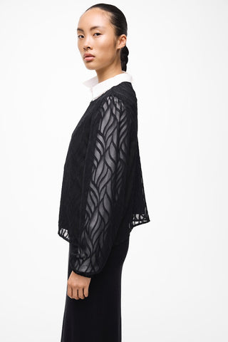 295042 Black Beauty;2