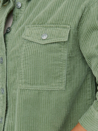 213591 Seagrass;13