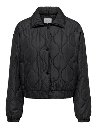 177911001 Black/ONION QUILT;3