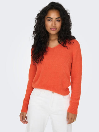 235395 Tigerlily;11