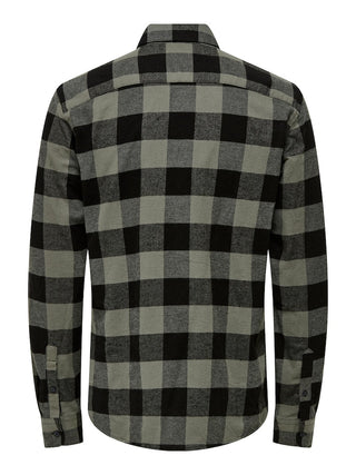 262142 Castor Gray;6