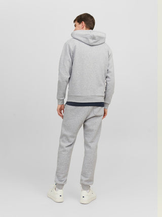 Bestseller / Herren-Sweat / JJEBRADLEY SWEAT ZIP HOOD NOOS