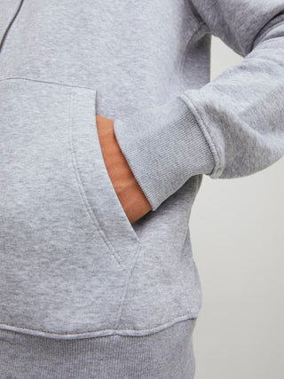 Bestseller / Herren-Sweat / JJEBRADLEY SWEAT ZIP HOOD NOOS