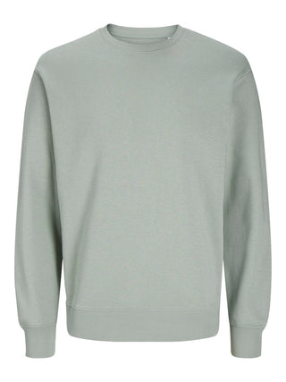 176366 Iceberg Green;71