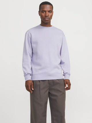 177004 Languid Lavender;79