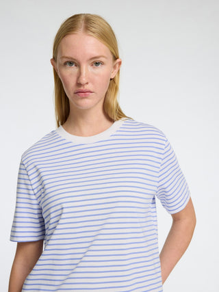 245698006 Cornflower Blue/BRIGHT WH;25