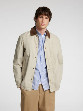186558002 Cashmere Blue/Stripes;4