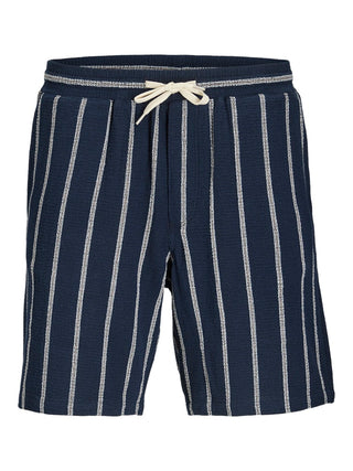 Bestseller / Herren-Shorts / JPSTJAIDEN COBA STRIPE JOG SHORTS R