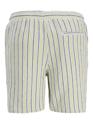 Bestseller / Herren-Shorts / JPSTJAIDEN COBA STRIPE JOG SHORTS R