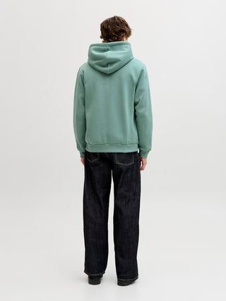 Bestseller / Herren-Sweat / JJEBRADLEY SWEAT ZIP HOOD NOOS